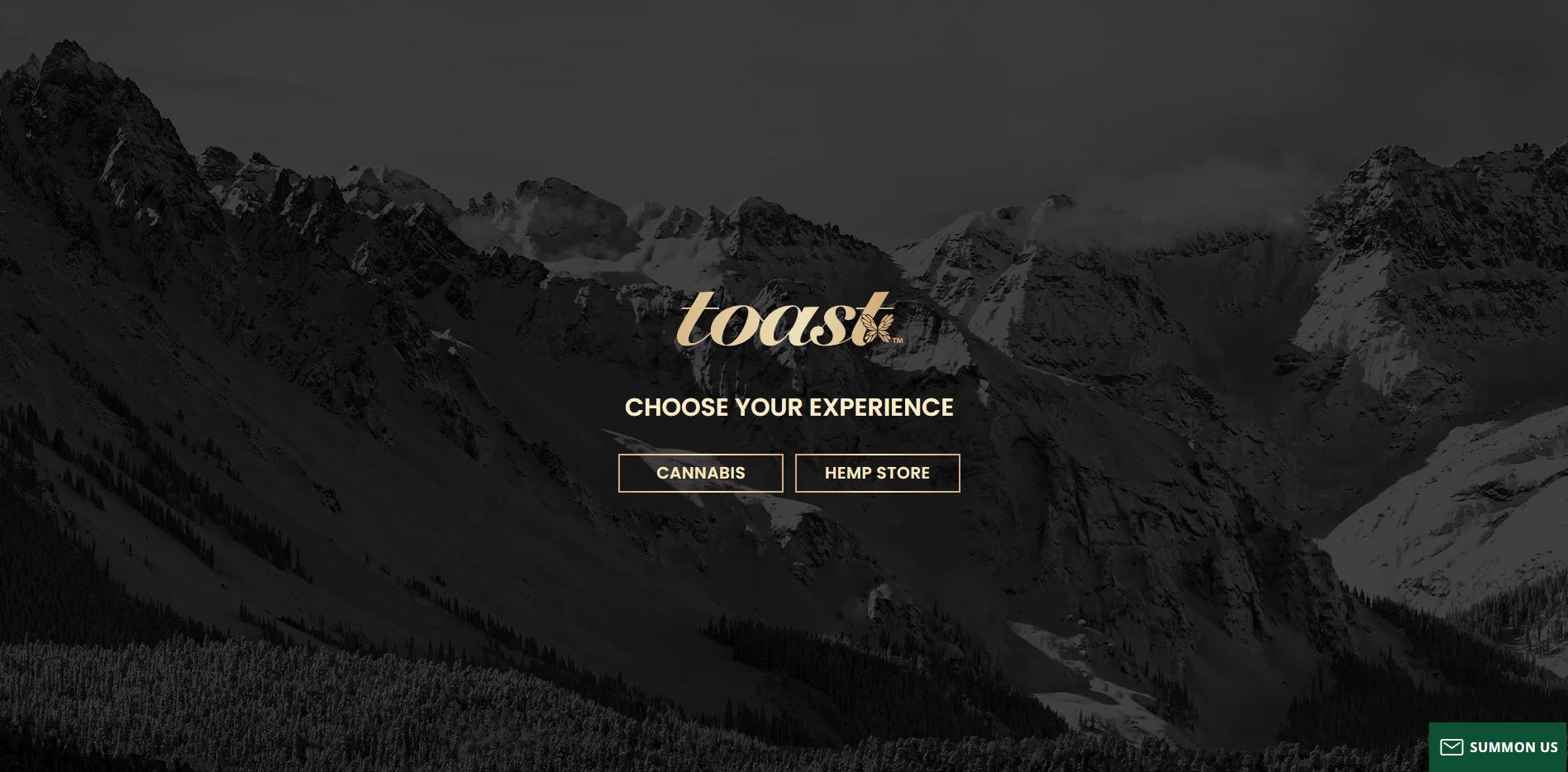 Toasttab Promo Code